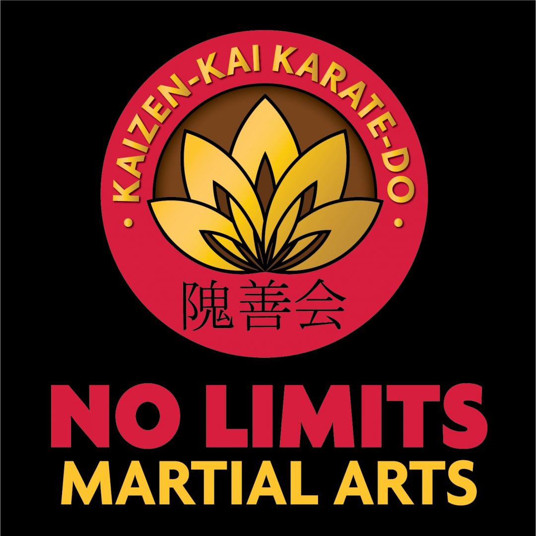 No Limits Mixed Martial Arts photo